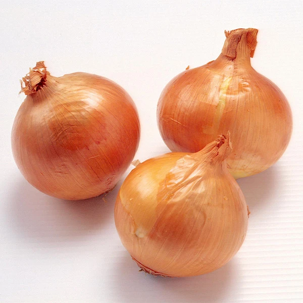 Confezione da 20 kg di cipolla gialla fresca biologica